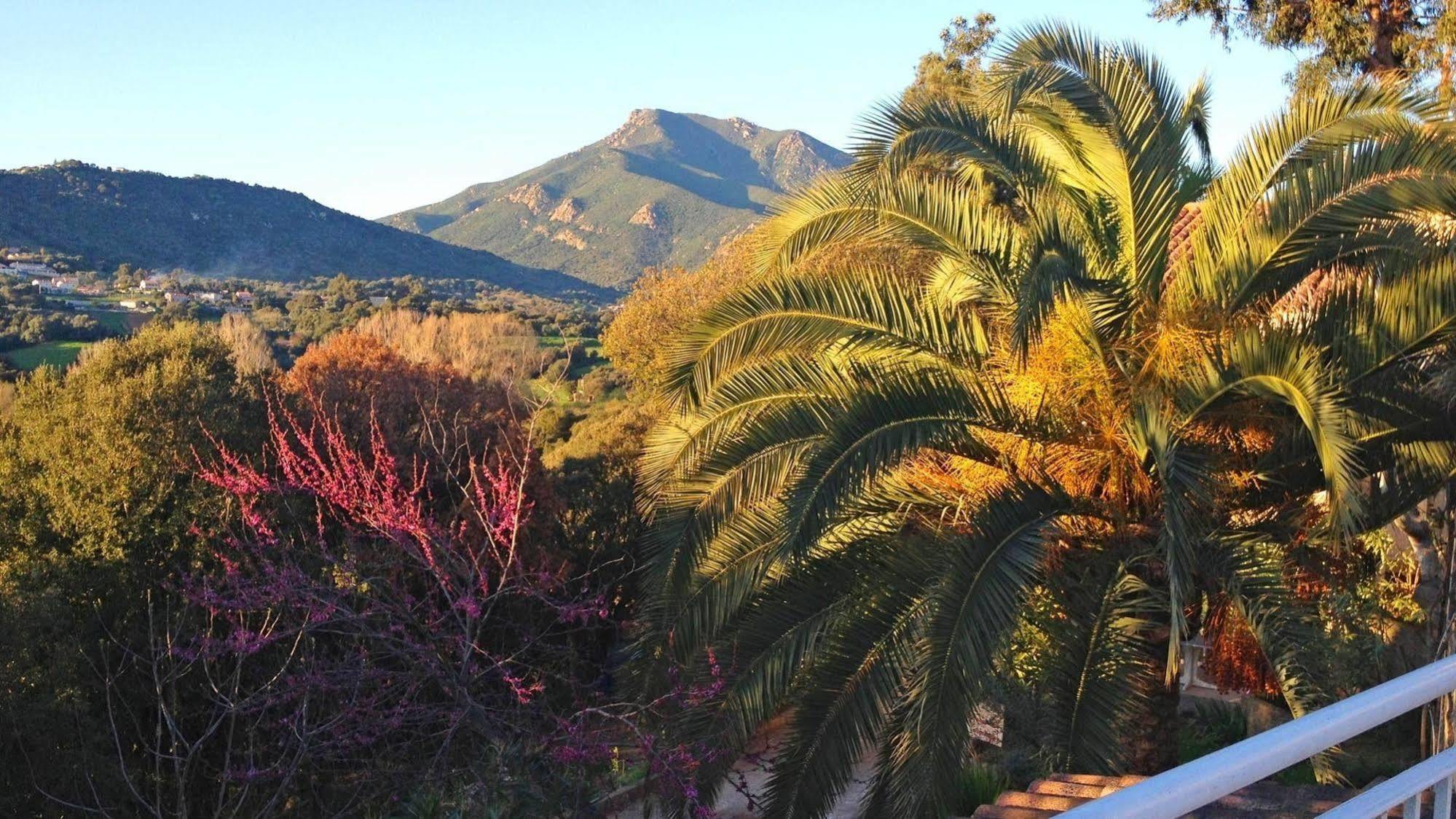 Hotel & Appartements Acqua Dolce Eccica-Suarella  Εξωτερικό φωτογραφία